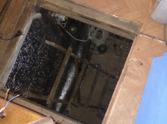 В Воронеже на Левом берегу в подвале дома выращивали коноплю 