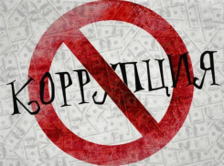 Мэрия Воронежа доросла до облправительства в плане коррупционной профилактики