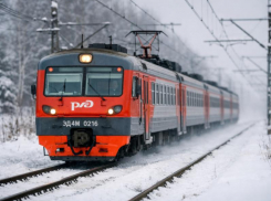 «Мы забили в нейросети и поняли, что реально проблема» – как ЛДПР сделала фейк про электрички в Воронежской области