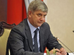 Средним губернатором назвали Александра Гусева авторитетные аналитики