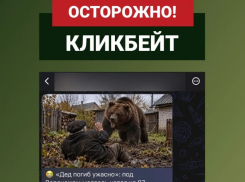 Развенчан фейк о смертельном нападении бурого медведя на воронежского ветерана