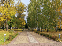 Воронежский санаторий устроил выгодные каникулы для учителей