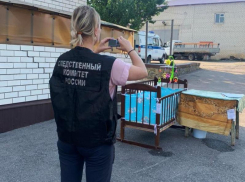 17-летняя мать пойдёт под суд за жуткую смерть пятимесячного сына в Воронежской области