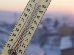 Температурные качели готовит погода воронежцам