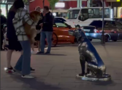 Необычная встреча попала на видео в центре Воронежа