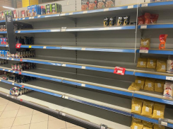 ФАС возбудила «сахарное» дело в отношении «Пятёрочки» и «Магнита» в Воронежской области