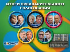 «Единая Россия» проиграла ЛДПР предварительное голосование и опустилась на третью строчку