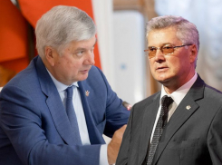 Медалью наградили «самого богатого пенсионера» в правительстве Воронежской области