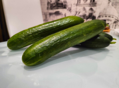 Цены на свежие огурцы резко подскочили в Воронеже 