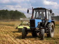 В Семилукском районе предприниматель превысил количество пестицидов при обработке почвы