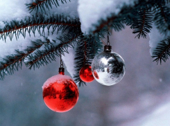 Желанный подарок приготовила погода воронежцам на Новый год 