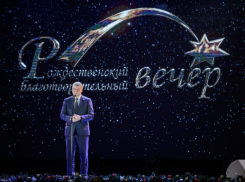 Кто из випов купил на губернаторском Рождественском аукционе часы за миллионы рублей
