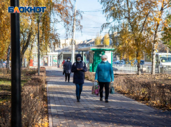 Почти 30% воронежцев хотят продления локдауна