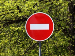 В Воронеже на два дня запретят проезд по улице из-за опасных деревьев