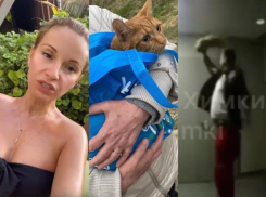 Звезда «Блестящих» назвала недочеловеком воронежского актёра, избившего кота