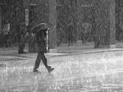 Дождь продолжится в Воронеже на рабочей неделе