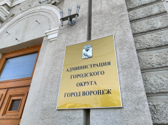Стало известно, из-за чего прокуратура подала иск на мэрию Воронежа 