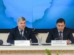 Гусев и Нетесов сказали, для чего живут воронежцы