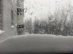 Скорое резкое похолодание сопроводят сильные снегопады в Воронежской области 