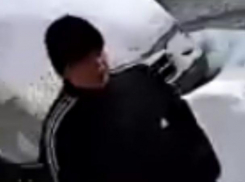 Опубликовано фото подозреваемого в избиении воронежской школьницы