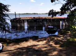 Как будет выглядеть гигантский плот для катания собак показали в Воронеже