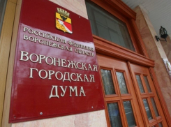 Рейтинг эффективности работы депутатов Воронежской городской Думы