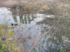 Фекальное озеро и бесполезные беруши: что происходит возле многоэтажки в Воронеже