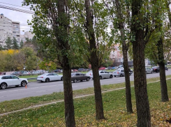 Гусеница из ДТП образовалась на Московском проспекте в Воронеже