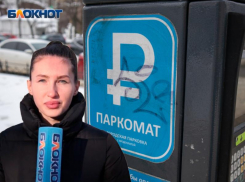 «Платить городу не так обидно»: что воронежцы думают о концессии парковок  