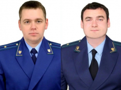 Назначены новые прокуроры в Рамонском и Ольховатском районах Воронежской области
