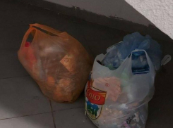 «Охота на свиней» началась в воронежском ЖК: горожане устали от мусора