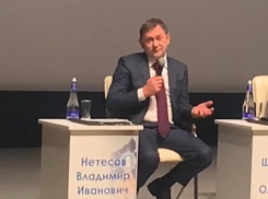 Нетёсов доволен «обслугой» в гостиницах Воронежа и переживает за доходы народа