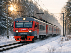 Из Воронежа в Елец запустят поезда