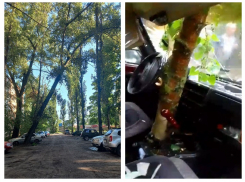 Халатность или преступное бездействие: пенсионер чудом избежал гибели в Воронеже