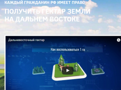 Только четверо воронежцев подали заявки на получение «дальневосточного гектара»