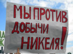 Федеральные политики порвали рубахи за и против воронежского никеля