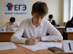 Рособрнадзор опубликовал список запретов для сдающих ЕГЭ-2026