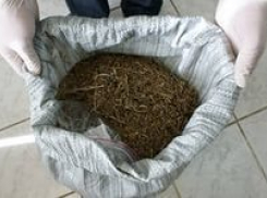 Воронежец ходил по городу с килограммом конопли