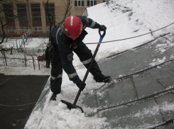 Воронежские власти указали, где не следует ходить и парковаться 13 марта