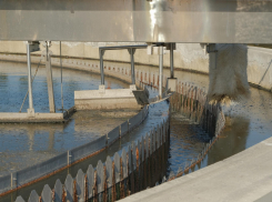 Зловонные ЛОСы официально перешли в собственность Воронежа