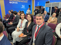 Какой телефон засветился на ПМЭФ у воронежской начальницы по привлечению инвестиций? 