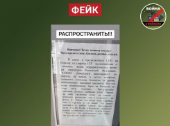 Сообщения о заминированных и разбросанных предметах на дорогах опровергли в Воронеже