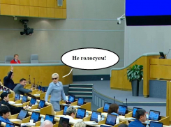 «Не голосуем!»: законопроект «о честной цене» воронежского депутата спровоцировал скандал