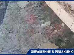 Под тротуарной плиткой в центре Воронежа открылся «родник»