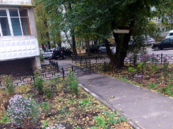 Тротуар с препятствиями показали на фото в Воронеже
