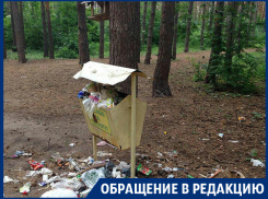 Свинством ответили в Воронеже на благодарность за чистоту