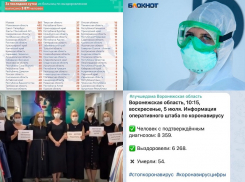 Коронавирус в Воронеже 5 июля: +148 больных, три смерти и видеоролик для губернатора Гусева 