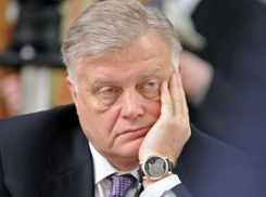 «Главный единоросс» вывел в тень «главного шубохранильщика»