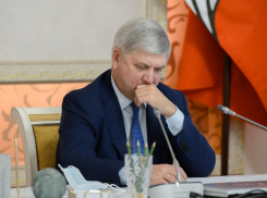 Губернатор Гусев отменил все встречи ради воронежцев из сгоревших домов