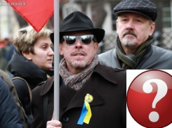 «А вы идете на Макаревича?». Воронежские политики и общественники прокомментировали концерт «Машины Времени»